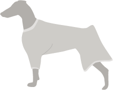 Illustration for article titled How to Avoid the Cone of Shame for Dogs Post Surgery